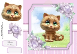Gorgeous Brown Cat 8x8