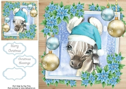 Gorgeous Festive Zebra 8x8
