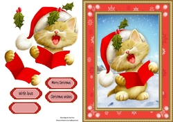 Gorgeous Singing Cat In Red Snowflake Frame
