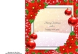 Beautiful Red Poinsettia Christmas Insert 8x8