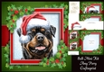 Gorgeous Rottweiler With Holly 8x8 Mini Kit