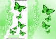 Beautiful Green Butterflies