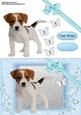 Cute Jack Russel Puppy in Chunky Blue Frame