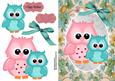 Cute Pink & Blue Owl in Silver Oval Frame