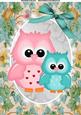 Cute Pink & Blue Owl in Silver Oval Frame A4