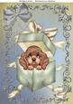 Cute Brown Puppy in a Gift Box A4