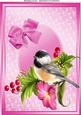 Lovely Little Bird in Pink Oval Lace Frame A4