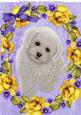 Lovely Fluffy White Puppy in Yellow Rose Frame A4