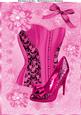 Beautiful Hot Pink Corset & Shoe A4