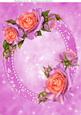 Beautiful Pink & Orange Rose's A4