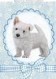 Cute Christmas Westie Puppy A4