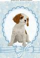 Cute Christmas Cavalier Puppy A4