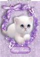 Gorgeous Fluffy White Kitten in Purple Floral Frame A4