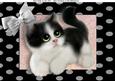 Cute Black & White Fluffy Kitten in Polka Dot Frame A4