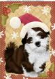 Cute Brown Fuzzy Dog with Santa's Hat A4