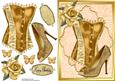 Beautiful Gold Corset & Shoe