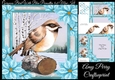 Gorgeous Bird With Blue Poinsettia 8x8 Mini Kit