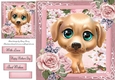 Beautiful Blue Eyed Brown Puppy 8x8