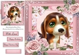 Beautiful Green Eyed Jack Russel Puppy 8x8