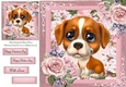 Beautiful Blue Eyed, Brown & White Puppy 8x8