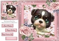 Beautiful Green Eyed, Dark Brown & White Puppy 8x8