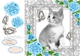 Gorgeous Grey Kitten With Blue Roses 8x8