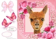 Gorgeous Alpaca In Pink Roses 8x8