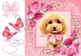 Gorgeous Brown Dog With Bow In Pink Roses 8x8