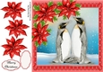 Gorgeous Penguins With Red Poinsettias 8x8