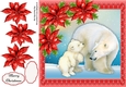 Gorgeous Polar Bear Family With Red Poinsettias 8x8