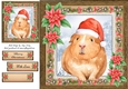Gorgeous Festive Guinea Pig With Red Flowers 8x8