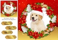 Gorgeous Labrador With Santa Hat 8x8