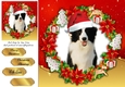 Gorgeous Border Collie With Santa Hat 8x8