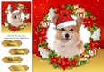 Gorgeous Corgi With Santa Hat 8x8