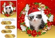 Gorgeous Gray And White Kitten In Santa Hat 8x8