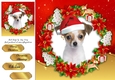 Gorgeous Chihuhua  In Santa Hat 8x8