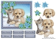 Gorgeous Cat & Dog With Blue Flowers 6x6