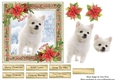 Gorgeous White Fluffy Dog Christmas 6x6