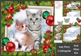 Gorgeous Cats With Red & Green Baubles 8x8 Mini Kit