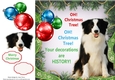 Oh Christmas Tree Humor Border Collie 8x8