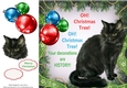 Oh Christmas Tree Humor Black Cat 8x8