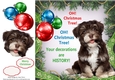 Oh Christmas Tree Humor Brown Scruffy Dog 8x8
