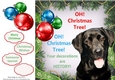 Oh Christmas Tree Humor Labrador 8x8