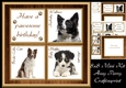 Gorgeous Border Collie Cubes 8x8 Mini Kit