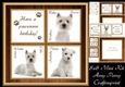 Gorgeous West Highland Terrier Cubes 8x8 Mini Kit