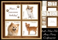 Gorgeous Long haired Chihuahua Cubes 8x8 Mini Kit