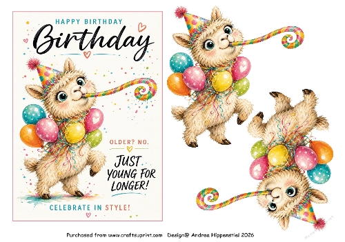 Birthday fun 1