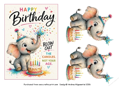 Birthday fun 5