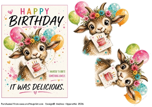 Birthday fun 8
