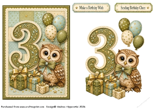 Number Card Birthday boy 3